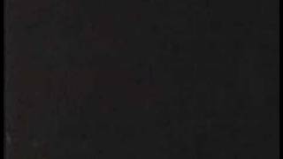 Tribe at Avalon Supercollider Tied