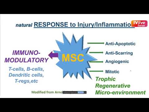 IvLive Focus - Abbiamo incontrato il prof Camillo Ricordi (22.07.20)