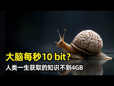 Thumbnail for 【科学】人类一生的知识上限不到4GB | 加州理工最新论文 | 大脑每秒10比特 | 神经系统速度100倍 | 并行和串行 | 心理不应期 | 历史演化 | 记忆 | 脑机接口 | AI终将超越人类