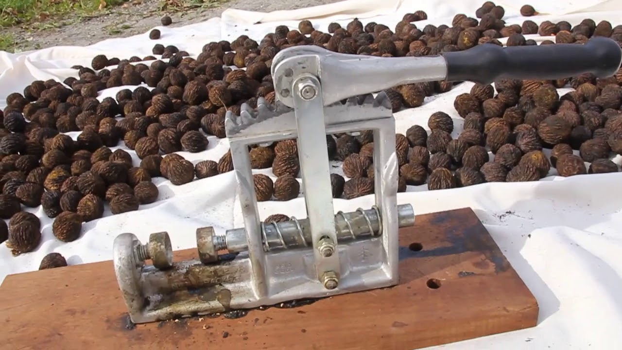 Nut Cracking the Easy Way