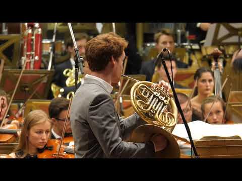 download lagu mp3 mp4 Wiener Jeunesse Orchester, download lagu Wiener Jeunesse Orchester gratis, unduh video klip Wiener Jeunesse Orchester
