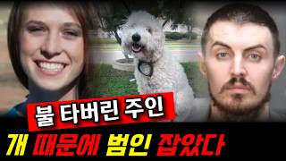 Download lagu The owner of the burned house caught the culprit thanks to his dog. mp3