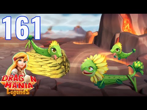 SUNFLOWER DRAGON is Arrived | Dragon Mania Legends - Gameplay Walkthrough Part 161 (iOS, Android)
