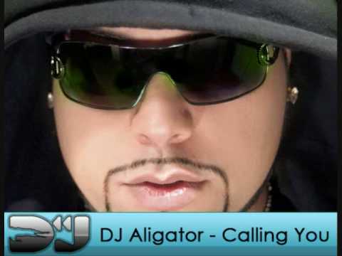 DJ Aligator - Calling You ( Radio Edit ) [NEW]