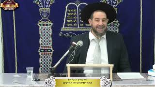 שלחן ערוך הרב הלכות תלמוד תורה לימוד כל חלקי התורה הכרחי לתיקון הנשמה הרב אברהם מלמד ז טבת תשפה (הרב אברהם מלמד) - התמונה מוצגת ישירות מתוך אתר האינטרנט יוטיוב. זכויות היוצרים בתמונה שייכות ליוצרה. קישור קרדיט למקור התוכן נמצא בתוך דף הסרטון