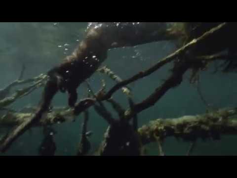 Land of the Falling Lakes - Plitvice National Park