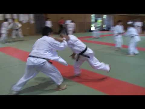 Training Fight of Tomiki Aikido - Japan, Kakunodate 2014