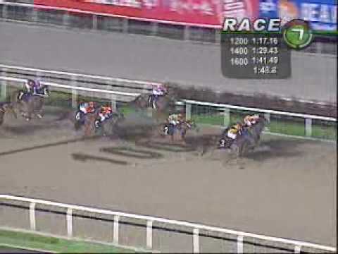 CAUSEWAY CLASSIC STAKES 07/08/09- JABAL TARIK