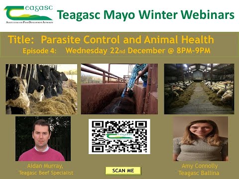 Teagasc Mayo Winter Webinars (Parasite Control / Animal Health) Episode 4