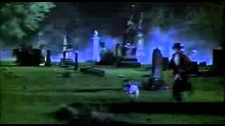 Мой пес Скип