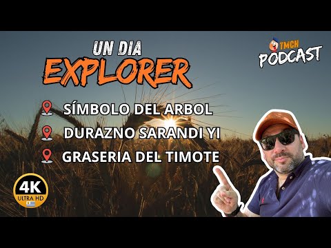 El oscuro secreto del árbol Sarandí