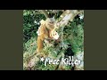 Free Kitten