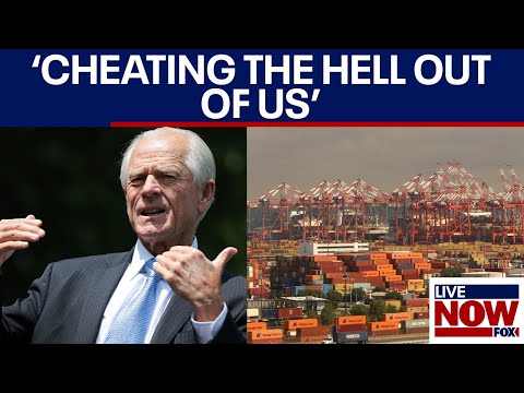 Video | FULL INTERVIEW: Peter Navarro talks tariffs with LiveNOW from FOX
