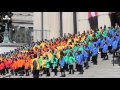 cherry blossom parade 2016