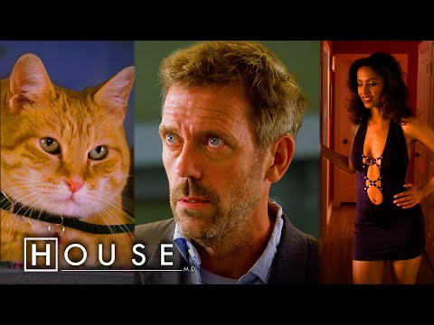 House episodes that get WILD | House M.D.