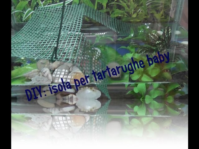DIY: isola per tartarughe baby