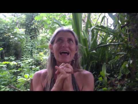 Mayan Dreamspell Calendar, ENERGY OF THE DAY, Blue Planetary Eagle, Kin 75