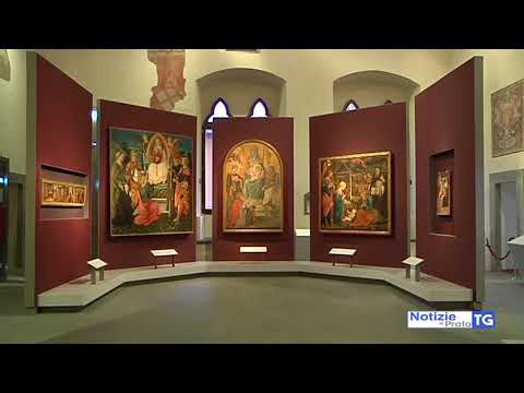 2018-07-24 PRATO - TOPI AL PRETORIO, VIA ALLA DERATTIZZAZIONE