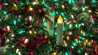 Disneyland - The Sights and Sounds of Christmas in 4k #disney #disneyland #christmas #viral