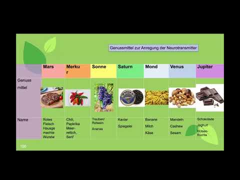 Neurotransmitter, Stress und die 7 Signaturen - ein Gespräch mit Dr. Michaela Dane