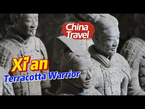Explore Qin's Realm: Unveil the Terracotta Army's Secrets!