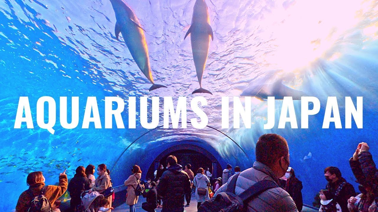 Explore Hakkeijima Sea Paradise with travelers in this captivating video.