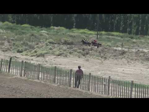 LA VANI  "Club Hipico Cabo Alarcón"    Picun Leufu    20-11-2022