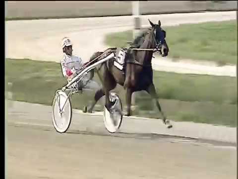 Trotto 11/03/2018 - 1ª corsa