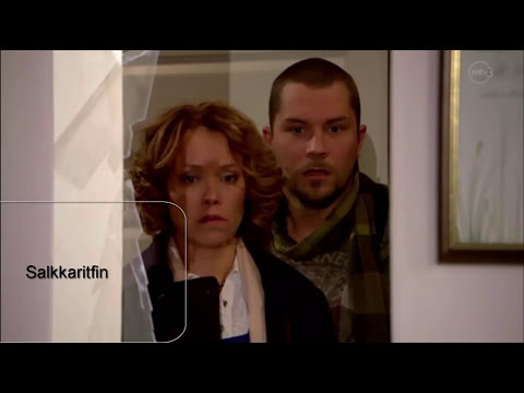 Salkkari-Cindyn hedelmä on vaarassa (2011)