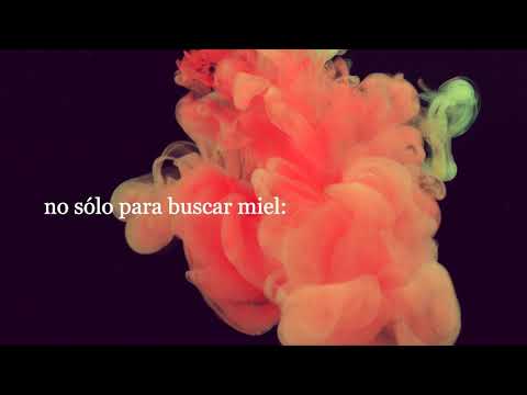 Alper Tuzcu - Con Ella (feat Micaella Cattani) - [Poem by Pablo Neruda]