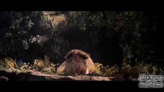 Terry Callier - Dancing Girl