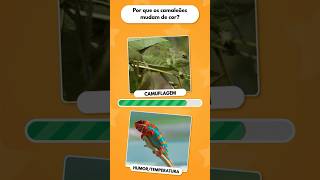 Será que você acerta a essas três perguntas? Hora do quiz! Quiz divertido de ciências 📚🐝 #quiz