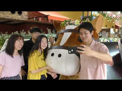 [東京外国語大学国際日本学部］観光（多文化コラボ授業ミニ番組 Group3）
