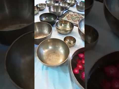 Haritha Yogshala short