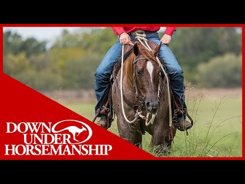 Clinton Anderson: How to Stop a Horse From Eating on the Trail - Downunder Horsemanship