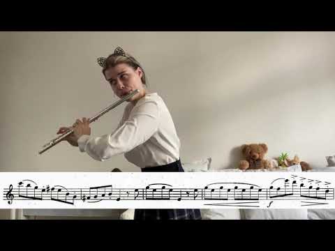 E. Köhler - Easy Exercises for the Flute op. 33/1, C major (WITH SCORES)