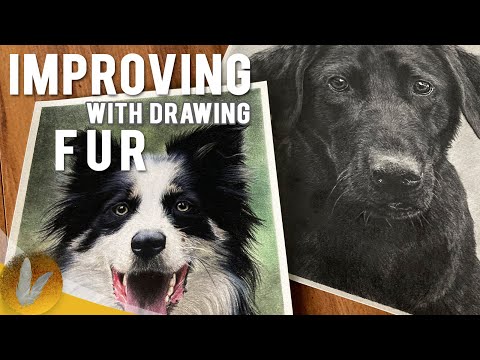How To Improve At Drawing Fur - 5 Tips For Realistic...