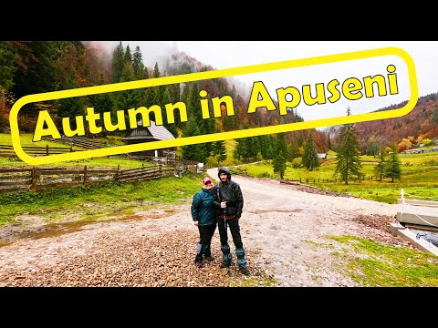 Autumn in Apuseni