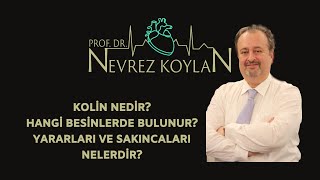 Kolin nedir? Hangi besinlerde bulunur? Yararları ve sakıncaları nelerdir?