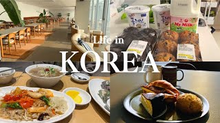 Life in Korea: A Morning with No Plans /Shopping at E-Mart Traders /A Night Without My Husband/cafe