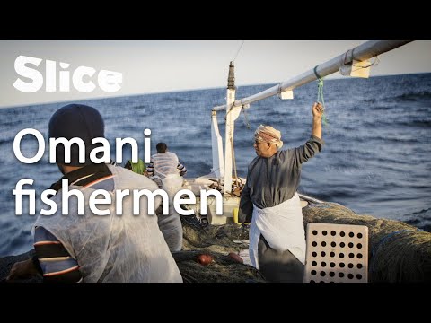 Traditional dhows in the Gulf of Oman | SLICE
