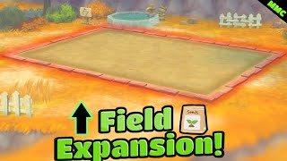 Field expansion - Story of Seasons Grand Bazaar