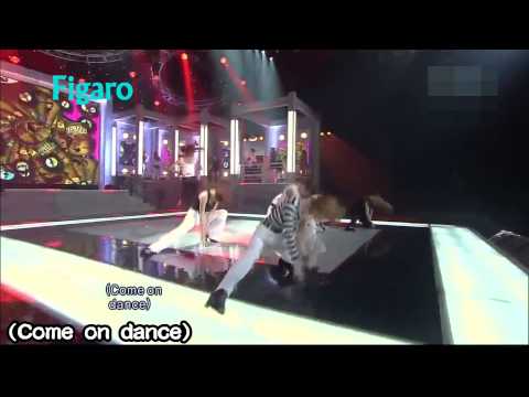 Nine Muses - Figaro 繁中應援