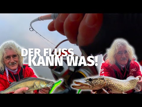TREENE GEKNACKT: ZANDER & HECHTE am HAUSGEWÄSSER - JÖRG OVENS bei 'Fange mal was' (09)