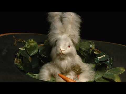 Lot 23:  Rabbit in Hat Automaton