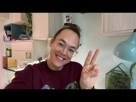 My peperomia collection - vlogmas ep 2 | Plant with Roos