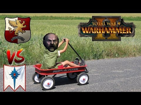 Empire vs High Elves | THE VOLKSWAGON - Total War Warhammer 2