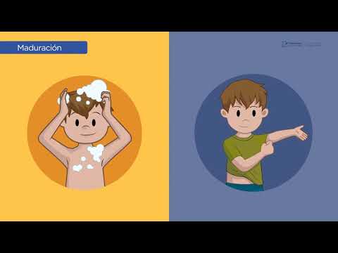 Curso de Promotor del Desarrollo Infantil 0