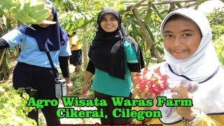 preview picture of video 'Agro Wisata Cilegon'