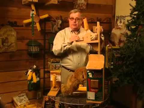 What To Feed Squirrels - Squirrel Feeders